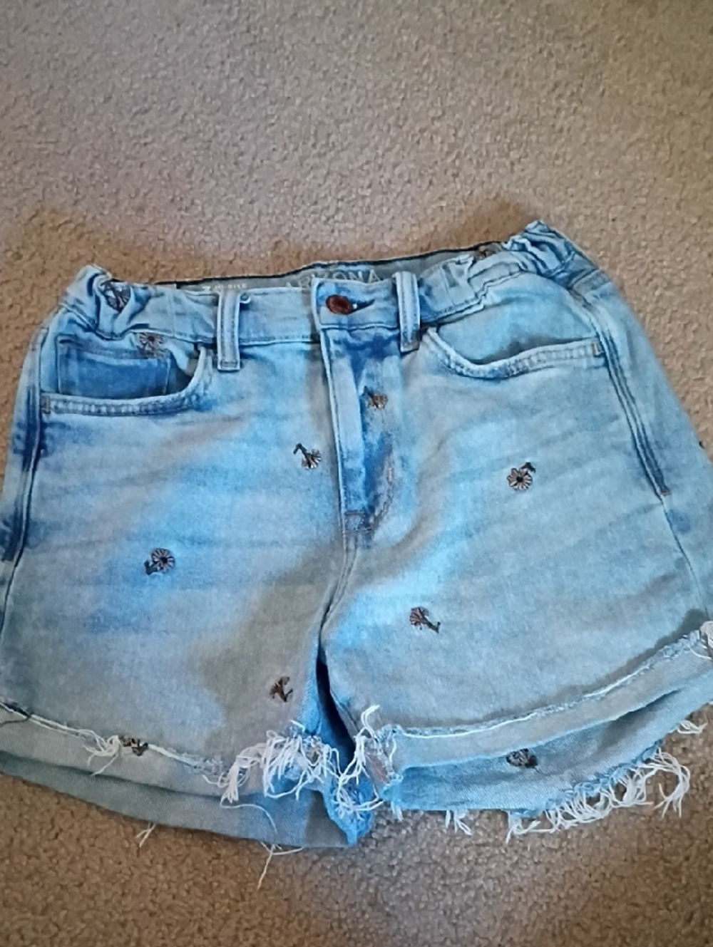 Flower Embroidered Denim Shorts